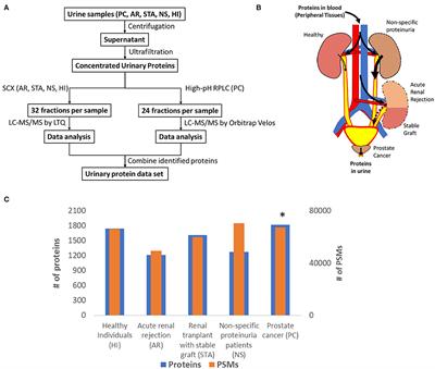 A Comprehensive Urine Proteome Database Generated From Patients With Various Renal Conditions and Prostate Cancer